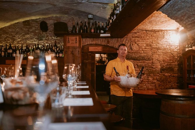 2-Hour Interactive Wine Tasting Experience in Ljubljana - The hosts make the difference