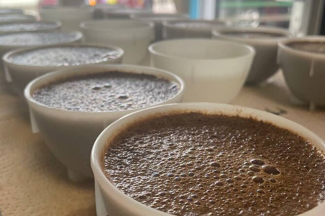 2-Hour Specialty Coffee tasting in Ljubljana - Key points about the Ljubljana coffee workshop