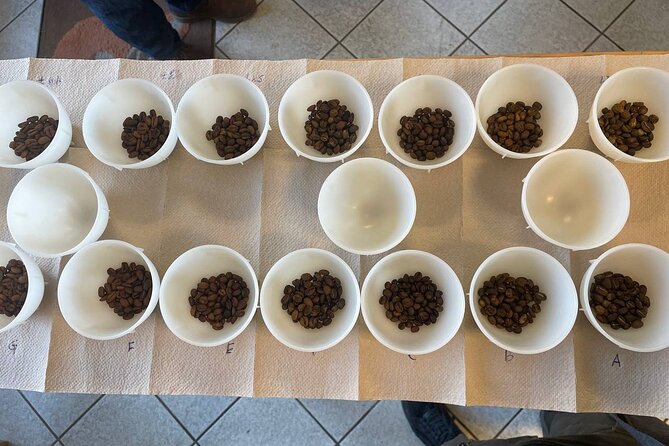 2-Hour Specialty Coffee tasting in Ljubljana - Arriving at Dunajska c. 61