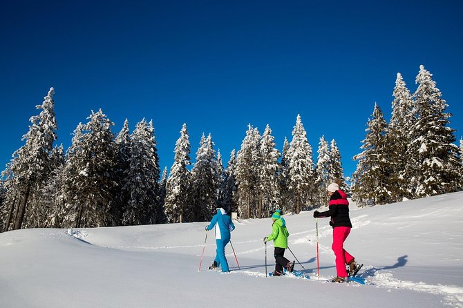 3-Hour Guided Snowshoeing Adventure in the Slovenian Alps - Leaving Bled for the Snowy Alps