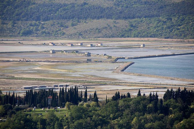 5-Course Food Tour with Electric Bikes - Why an e-bike is the right tool for Slovenian Istria