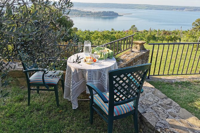 5-Course Food Tour with Electric Bikes - Forma Viva: sculpture with a view over Portorož Bay