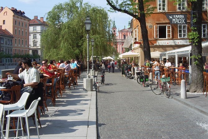 6 Hours Private Shore Excursion to Ljubljana from Koper - Who will like this private Ljubljana trip?