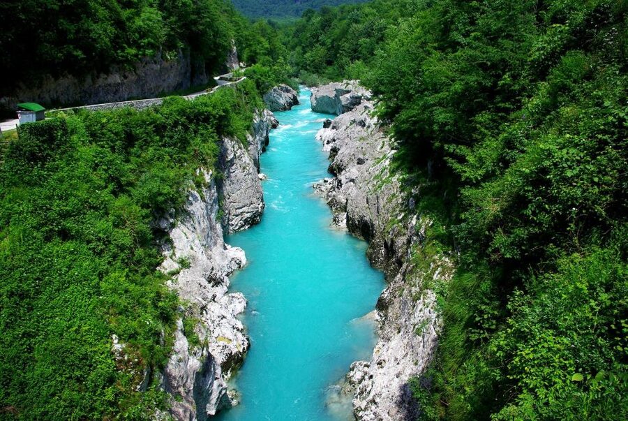 7 Alpine Wonders - Zelenci Nature Reserve and its green springs