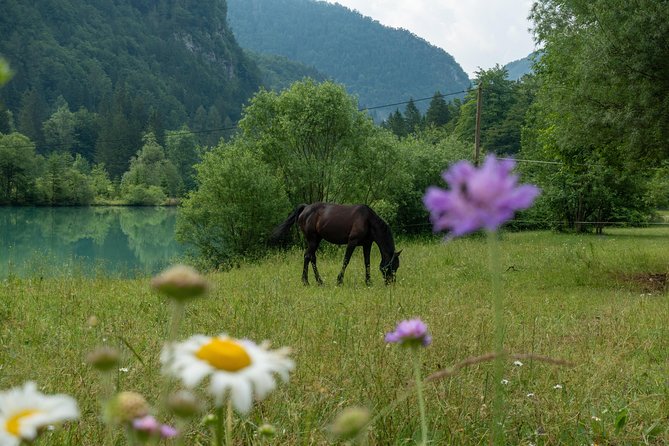 7 Alpine Wonders- Day Tour Bled, Soca valley, Slovenia - Špik views and the emerald springs at Zelenci