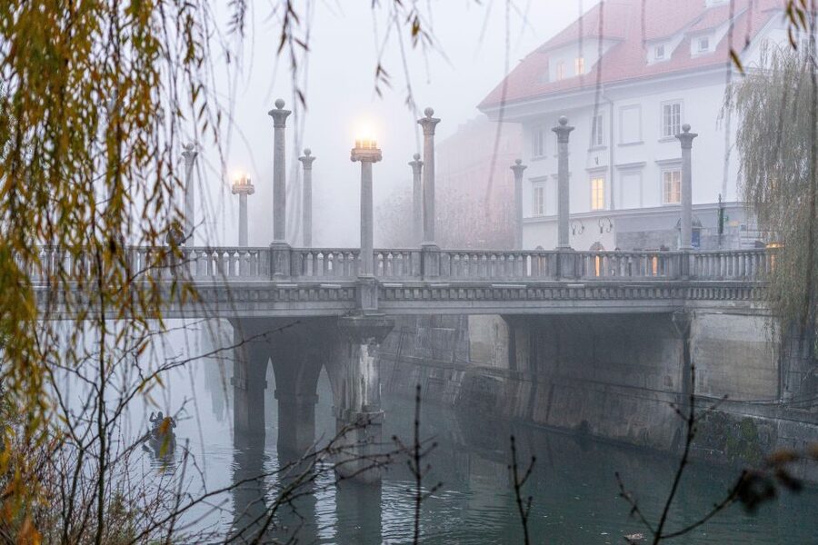 Best of Ljubljana: Private tour with Ljubljana born guide - Cobblers Bridge, the Cathedral, and the old center