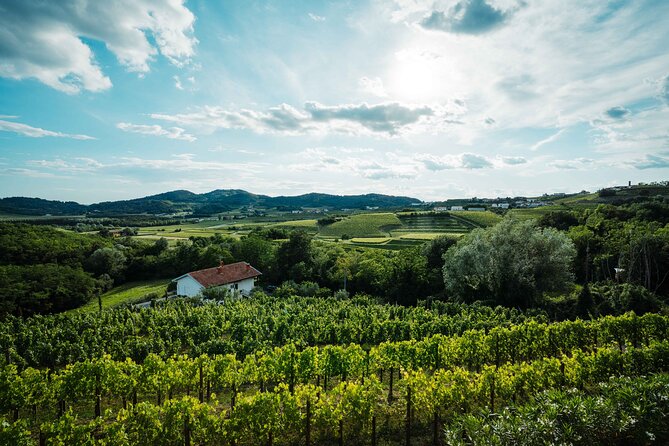 Bike Slovenia Green: Alps to Adriatic 8 days cycling tour - Accommodation, Bikes, and the $129 Price