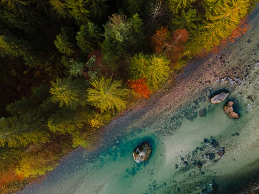 Bled: Sava River Kayaking Tour - Who should book this Sava River outing?
