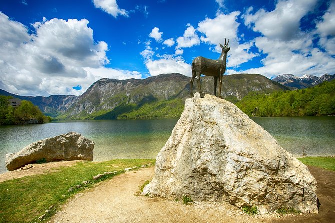 Bled to Lake Bohinj Trip - Pine forests and mountain sport on Pokljuka Plateau