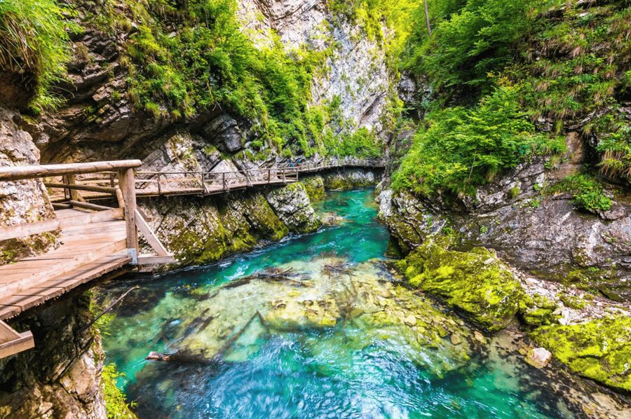Bled: Vintgar Gorge Best Experience and Food Tasting - Why this Bled outing works so well