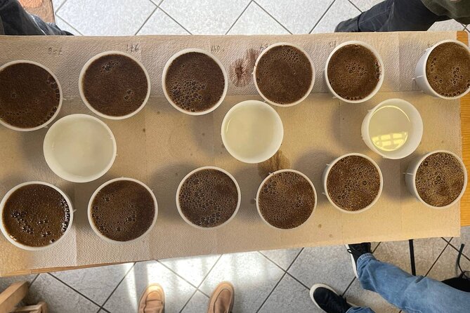 Coffee Sensory Training in Ljubljana - Starting at 10:00 on Dunajska cesta
