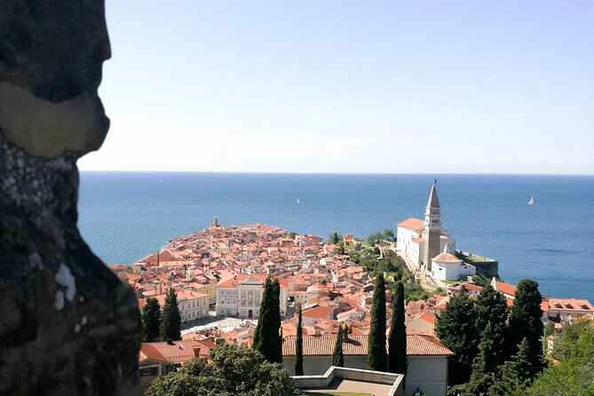 Customized Slovenian Adventure from Koper or Piran - Choosing Between Ljubljana, the Cave, the Coast, and More