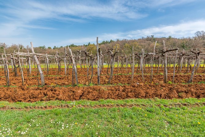 Day Trip to Lipica and Karst - Booking, Weather, and Other Practical Details