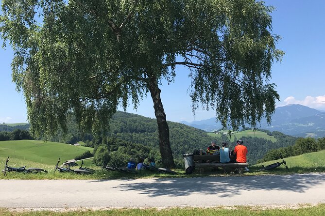 E-bike holidays: Trans Slovenia e-bike tour - Day 3: Shepherd Huts on Velika Planina