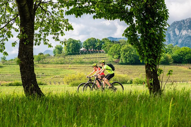 E-bike Vipava River Tour - Coffee and stone walls at Vipavski Križ