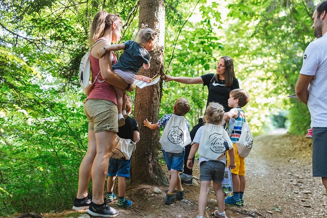 Family Adventure in Bled - Enchanted Forest theme park - Kuštrela’s herb meadow