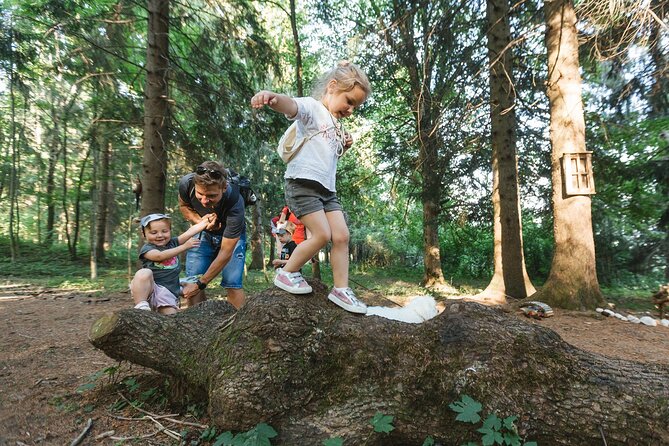Family Adventure in Bled - Enchanted Forest theme park - The Gnome classroom and Birds Nest space