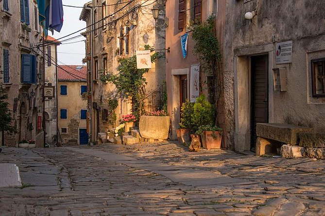 Flavours of Istria Tasting Experience from Koper - Motovun, truffles, and the best-known hilltop view