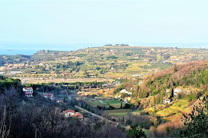 Footpath Above Lucija To Lucan - Lucan Hill and the olive grove