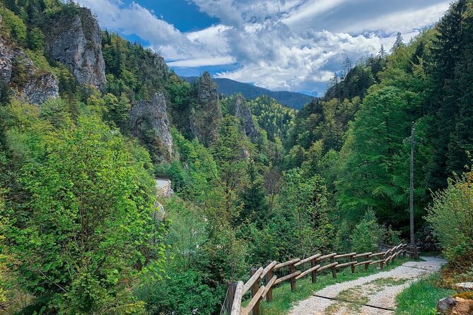 From Bled: Crystal River Hike - Leaving Bled for the Upper Carniola river
