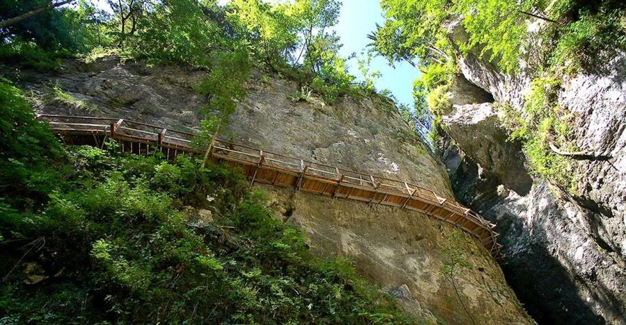 From Bled: Half-Day Pokljuka Gorge Trail Hike (Private) - Why This Short Hike Is Worth Your Time