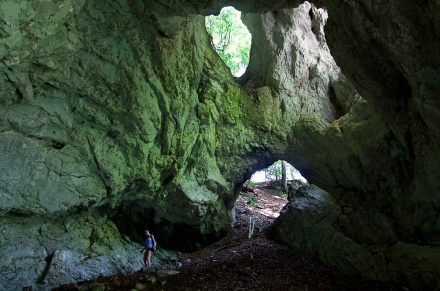From Bled: Half-Day Pokljuka Gorge Trail Hike (Private) - Small Gorge, Streams, and Secret Passages