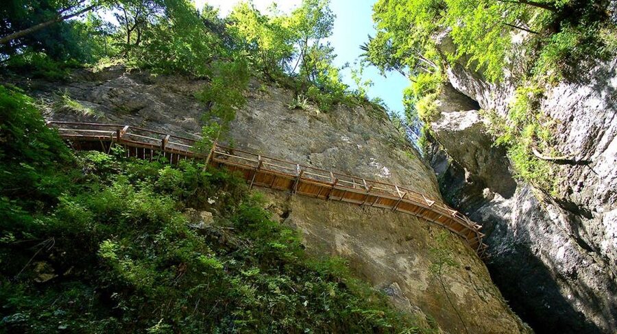 From Bled: Half-Day Pokljuka Gorge Trail Hike (Private) - The Discovery Trail’s First Forest Steps