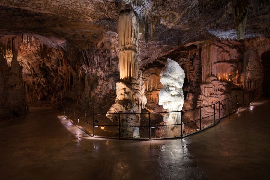 From Koper: 5-Hour Tour to Postojna Cave & Predjama Castle - Inside Postojna Cave: Train First, Tour Second