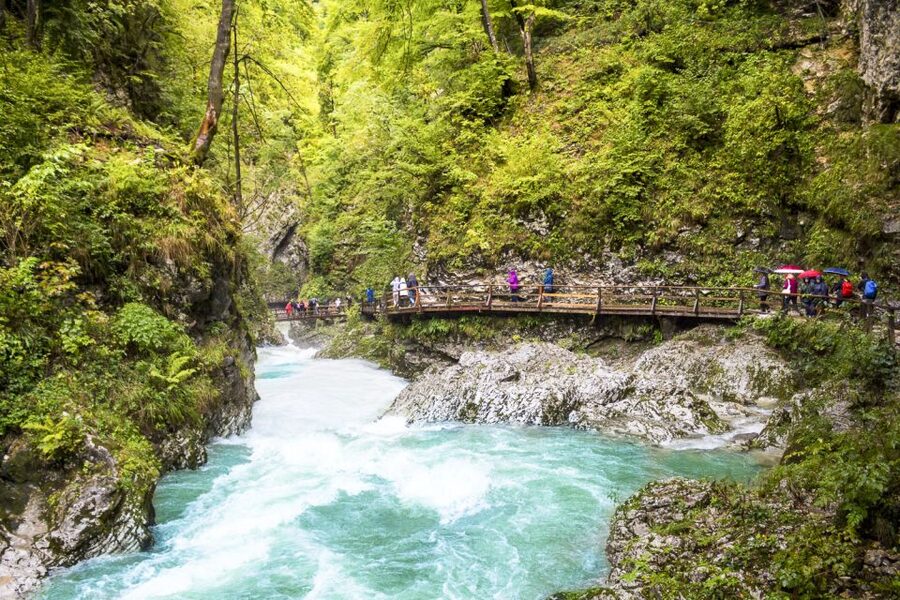 From Ljubljana: Day Trip to Bled and Vintgar Gorge - Lake Bohinj offers a quieter kind of beauty