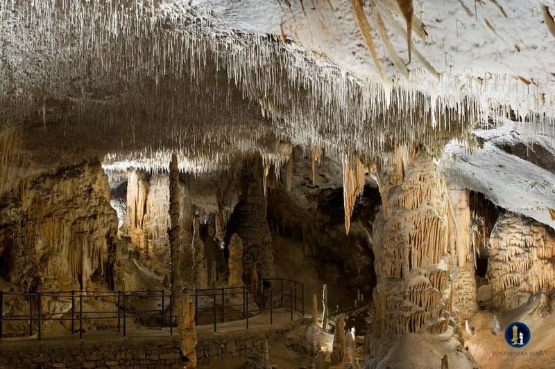 From Ljubljana: Lake Bled, Postojna Cave and Predjama Castle - Postojna Cave and its underground railway