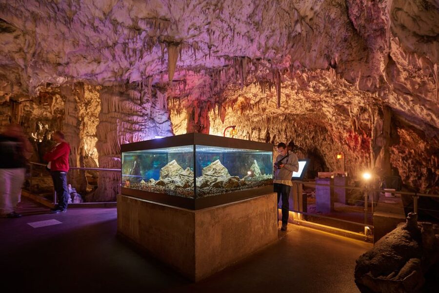 From Ljubljana: Lake Bled & Postojna Cave with Entry Tickets - Why this day trip works from Ljubljana
