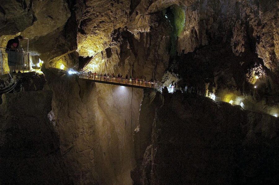 From Ljubljana: Lipica Stud Farm and Piran Full-Day Tour - Walking, weather, and what to bring