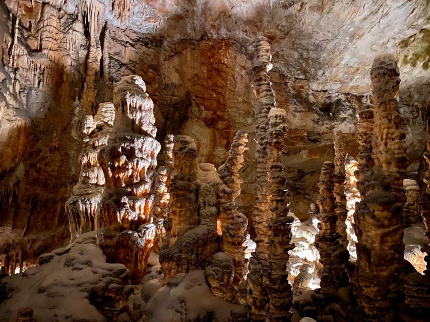 From Ljubljana: Postojna Cave Day Trip - Why Postojna Cave is worth the trip