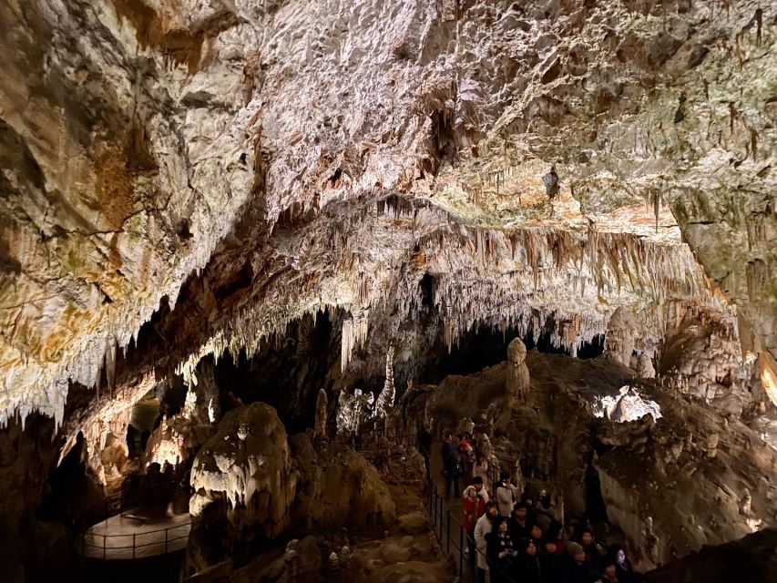 From Ljubljana: Postojna Cave Day Trip - Arriving at Postojna Cave around 9:30 AM