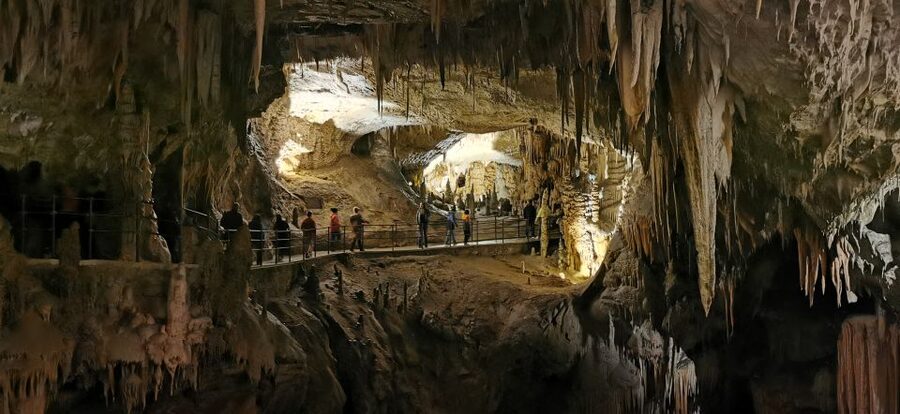 From Ljubljana: Postojna Cave & Predjama Castle Guided Trip - Timing, crowds, and the half-day pace