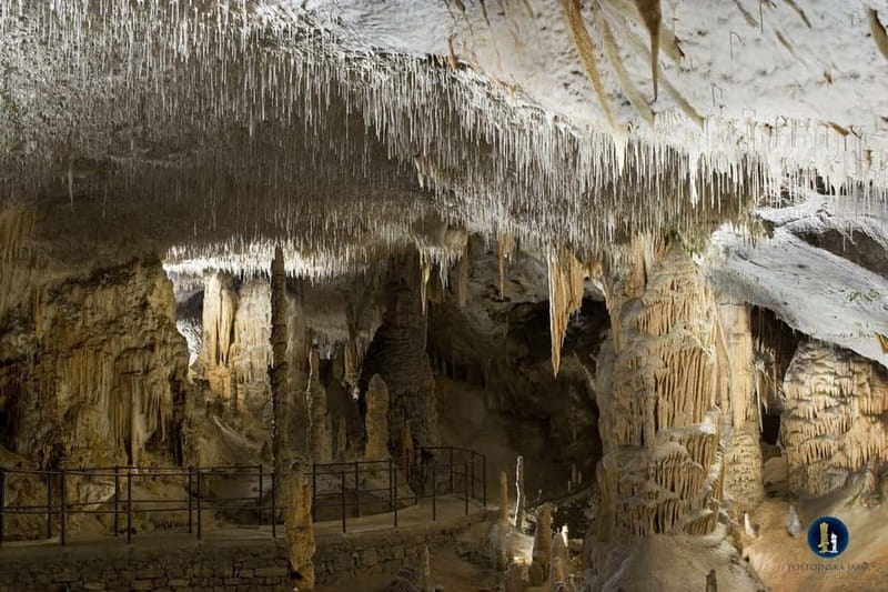 From Ljubljana: Postojna Cave, Predjama Castle, & Piran Tour - Postojna Cave: a grand underground show