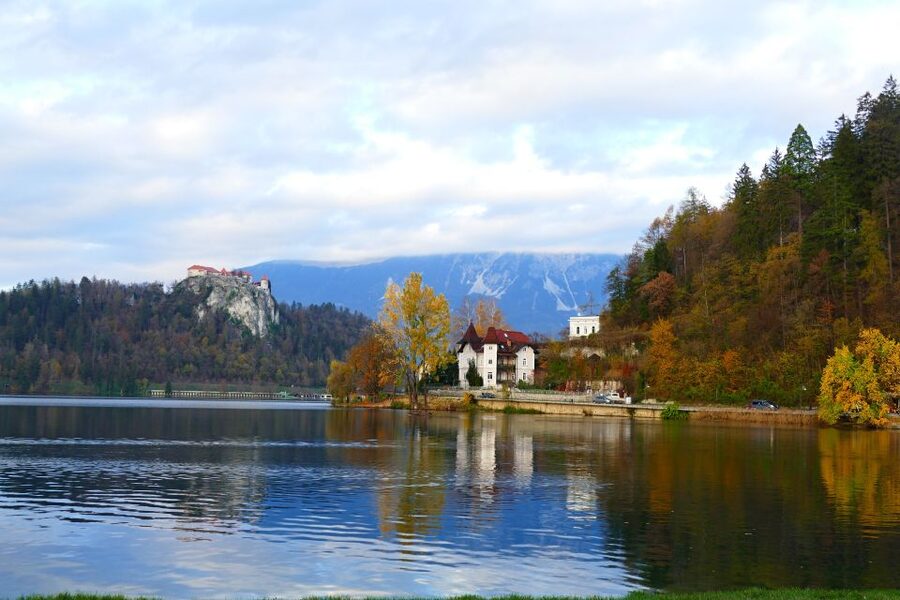 From Ljubljana: Private Bled Lake Day Trip - What the driver-guide adds