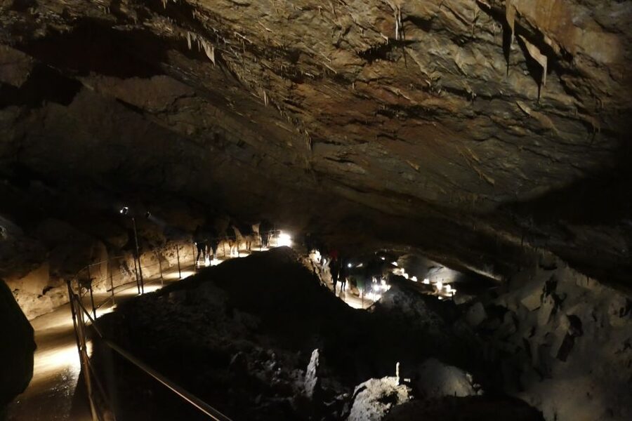 From Ljubljana: Skočjan Caves Half-Day Trip - The 8:30 AM pickup from Ljubljana