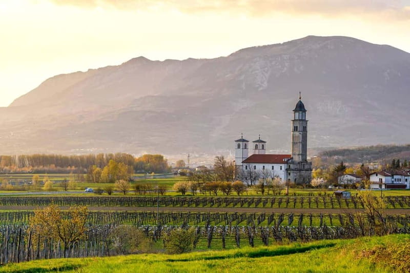 From Ljubljana: Vipava Valley Wine Express Tour - Why the Vipava Valley makes a good wine trip
