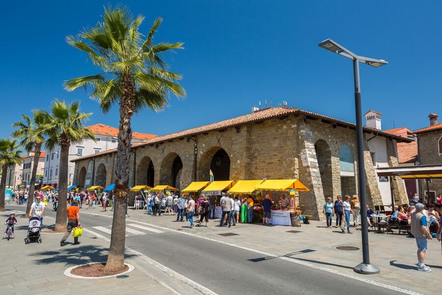 From Trieste: Piran and Slovenia Coast Tour - Key points to know before booking