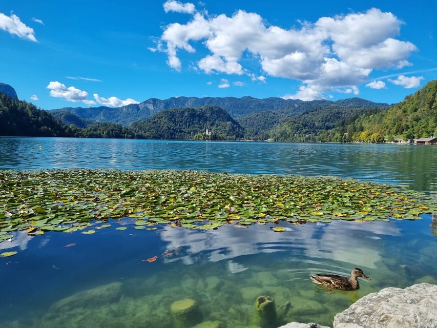From Zagreb: Highlights Day Tour to Bled and Ljubljana - Why this day trip works from Zagreb