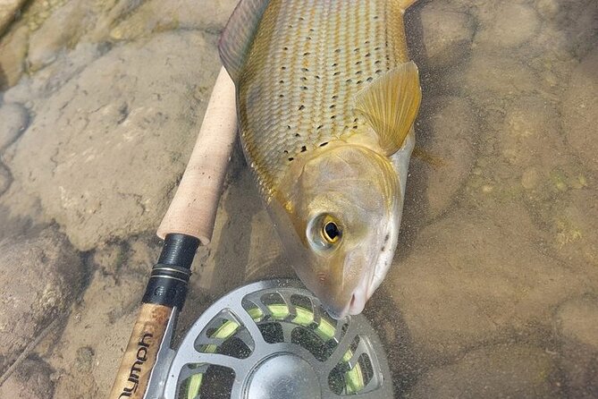 Full Day Private Guided Fishing Charter along the Isonzo Front - Stop one: reading the Soča Valley
