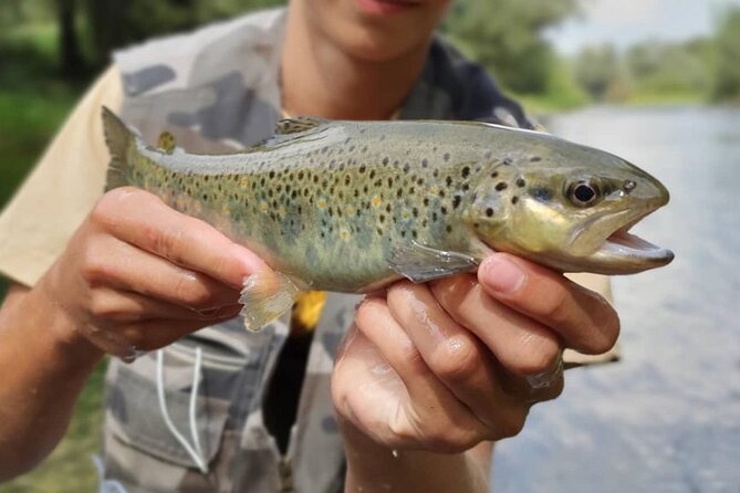 Full Day Private Guided Fishing Charter along the Isonzo Front - A full day in the Soča Valley
