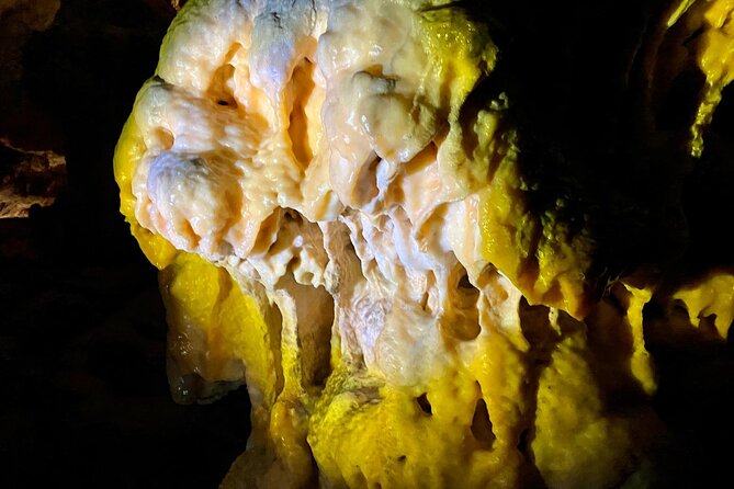 Full-day tour of Postojna Cave and Bled Lake From Ljubljana - The guides can make the transfers worthwhile