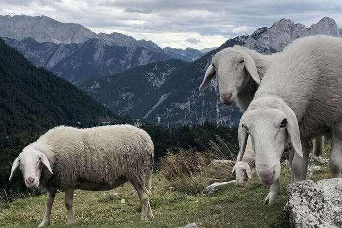 Full-Day Triglav National Park Tour from Ljubljana - What the Guides Add to the Experience