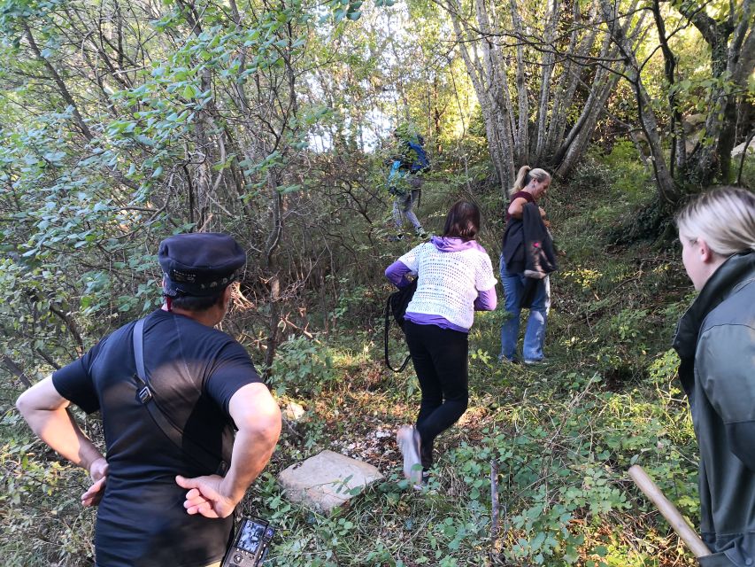 Gažon - Istria: Truffles Hunting & Cooking & Tasting - The 45-minute lesson behind an expensive ingredient
