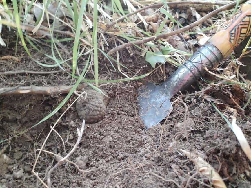 Gažon - Istria: Truffles Hunting & Cooking & Tasting - Cooking fuži beneath the Istrian pergola