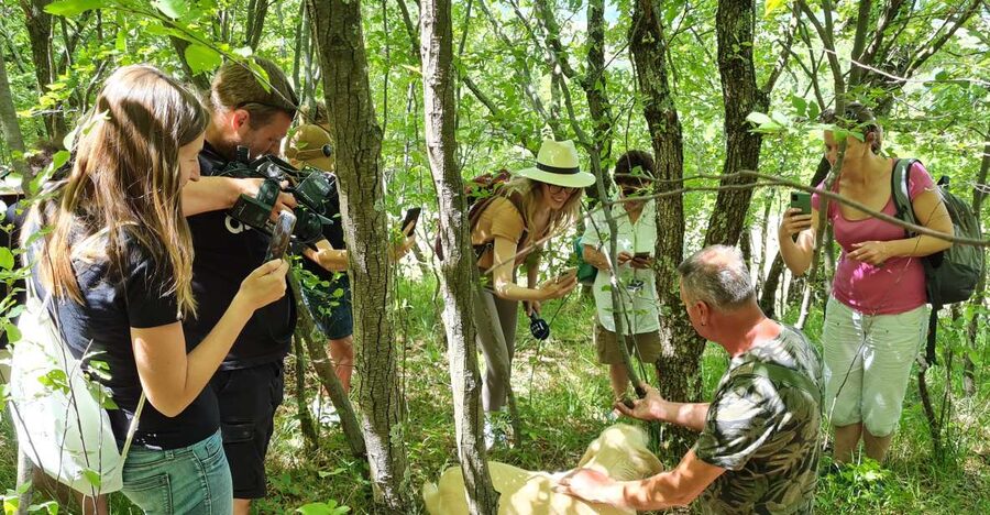 Gažon - Istria: Truffles Hunting & Cooking & Tasting - Following the dog into the truffle hunt