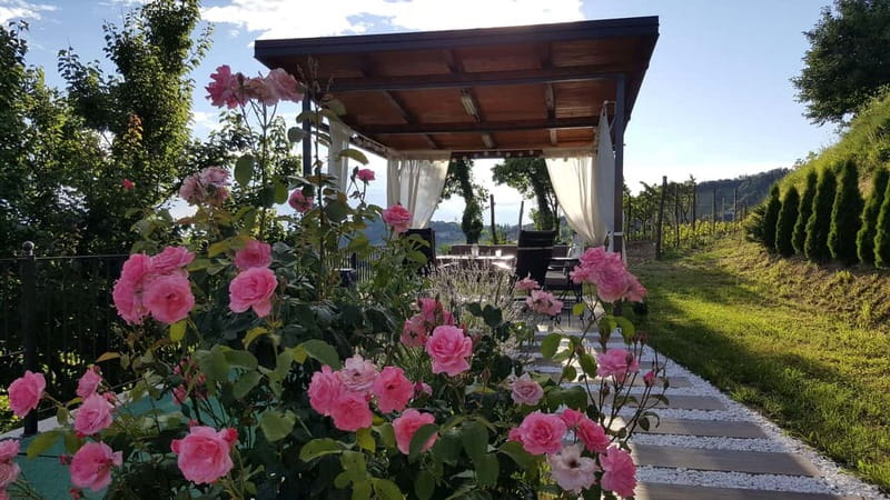 Goriška Brda: Wine Tasting with Local Snacks - Arriving at Pintar Wine & Guest Estate