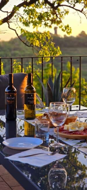 Goriška Brda: Wine Tasting with Local Snacks - A generous, family-run style of hosting